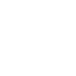 icon provider red tiger